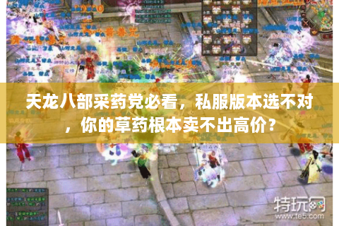 天龙八部采药党必看,私服版本选不对,你的草药根本卖不出高价? 天龙八部采药党必看,私服版本选不对,你的草药根本卖不出高价?