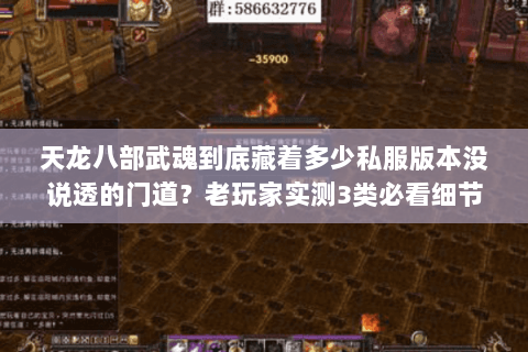天龙八部武魂到底藏着多少私服版本没说透的门道？老玩家实测3类必看细节