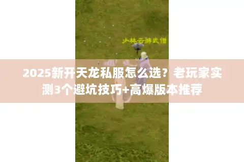2025新开天龙私服怎么选？老玩家实测3个避坑技巧+高爆版本推荐