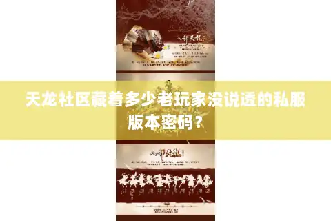 天龙社区藏着多少老玩家没说透的私服版本密码？