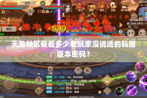 天龙社区藏着多少老玩家没说透的私服版本密码？