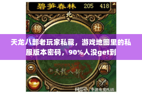天龙八部老玩家私藏,游戏地图里的私服版本密码,90%人没get到 天龙八部老玩家私藏,游戏地图里的私服版本密码,90%人没get到