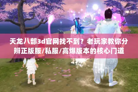 天龙八部3d官网找不到？老玩家教你分辨正版服/私服/高爆版本的核心门道