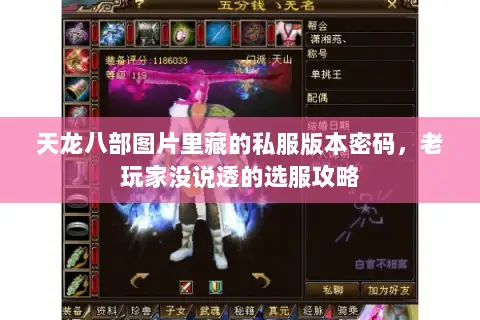 天龙八部图片里藏的私服版本密码，老玩家没说透的选服攻略