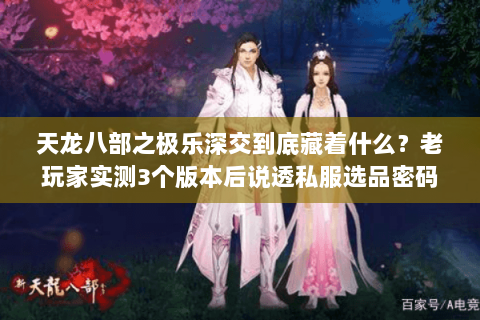 天龙八部之极乐深交到底藏着什么？老玩家实测3个版本后说透私服选品密码