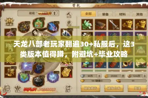 天龙八部老玩家翻遍30+私服后，这3类版本值得蹲，附避坑+毕业攻略