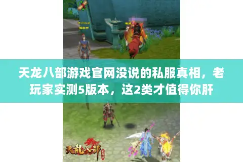 天龙八部游戏官网没说的私服真相，老玩家实测5版本，这2类才值得你肝