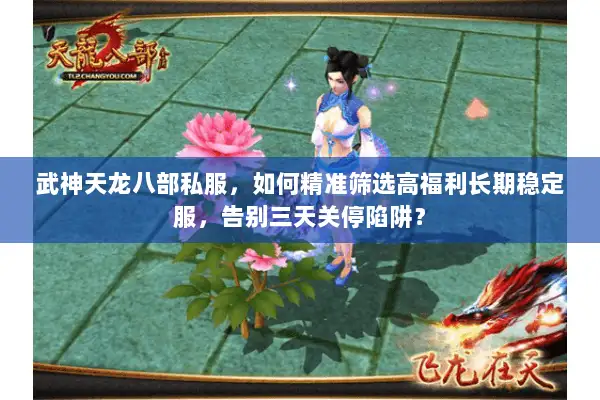 武神天龙八部私服，如何精准筛选高福利长期稳定服，告别三天关停陷阱？