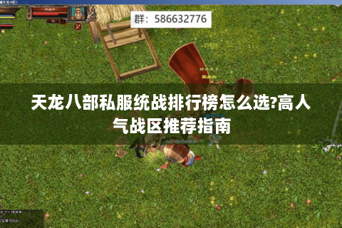 天龙八部私服统战排行榜怎么选?高人气战区推荐指南