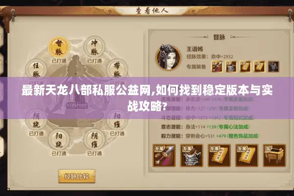 最新天龙八部私服公益网,如何找到稳定版本与实战攻略?
