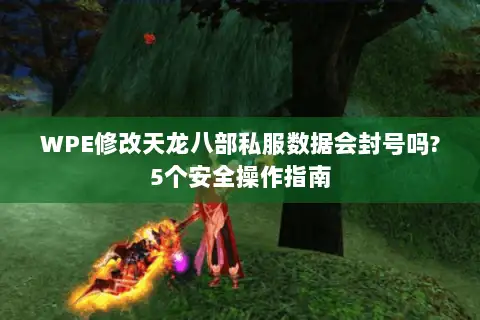 WPE修改天龙八部私服数据会封号吗?5个安全操作指南