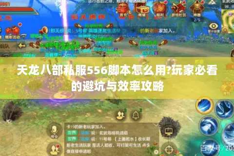 天龙八部私服556脚本怎么用?玩家必看的避坑与效率攻略