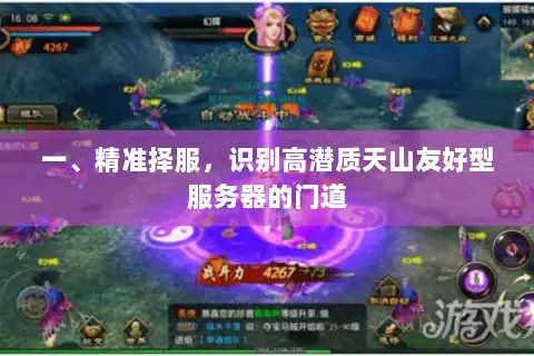 一、精准择服,识别高潜质天山友好型服务器的门道 一、精准择服,识别高潜质天山友好型服务器的门道