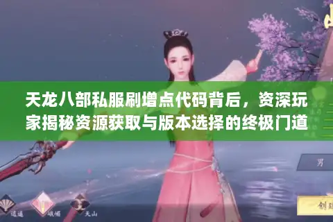 天龙八部私服刷增点代码背后，资深玩家揭秘资源获取与版本选择的终极门道