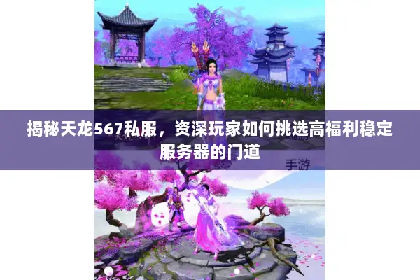 揭秘天龙567私服，资深玩家如何挑选高福利稳定服务器的门道