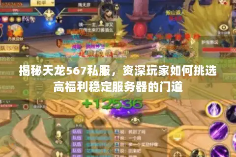 揭秘天龙567私服，资深玩家如何挑选高福利稳定服务器的门道