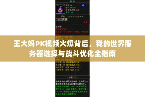 王大妈PK视频火爆背后,我的世界服务器选择与战斗优化全指南 王大妈PK视频火爆背后,我的世界服务器选择与战斗优化全指南
