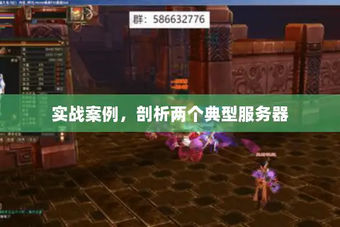 实战案例，剖析两个典型服务器