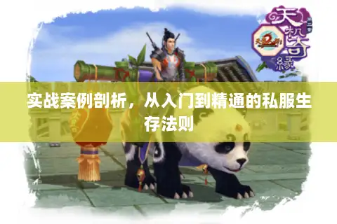 实战案例剖析,从入门到精通的私服生存法则 实战案例剖析,从入门到精通的私服生存法则