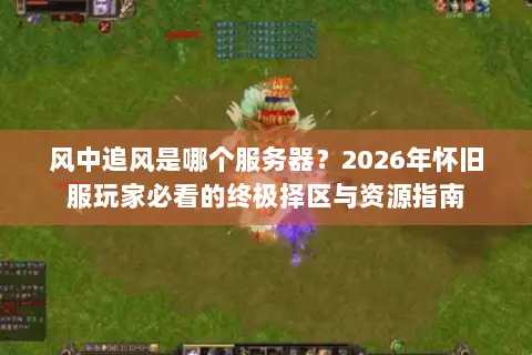 风中追风是哪个服务器？2026年怀旧服玩家必看的终极择区与资源指南
