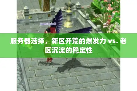 服务器选择，新区开荒的爆发力 vs. 老区沉淀的稳定性