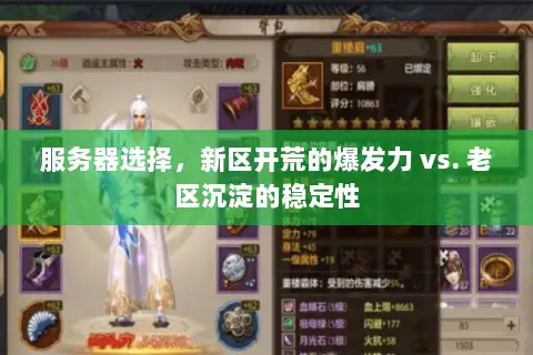 服务器选择，新区开荒的爆发力 vs. 老区沉淀的稳定性