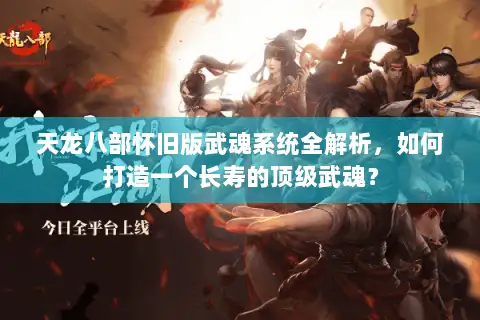 天龙八部怀旧版武魂系统全解析，如何打造一个长寿的顶级武魂？