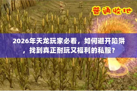 2026年天龙玩家必看，如何避开陷阱，找到真正耐玩又福利的私服？