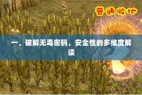一、破解无毒密码，安全性的多维度解读