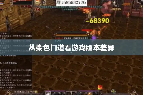 从染色门道看游戏版本差异