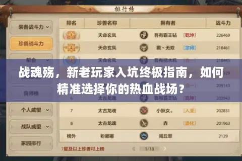 战魂殇，新老玩家入坑终极指南，如何精准选择你的热血战场？