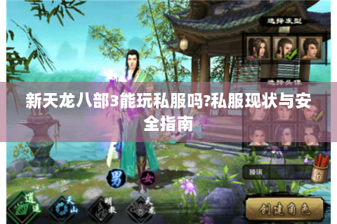 新天龙八部3能玩私服吗?私服现状与安全指南
