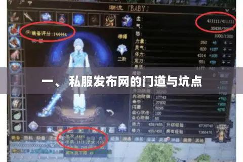 一、 私服发布网的门道与坑点