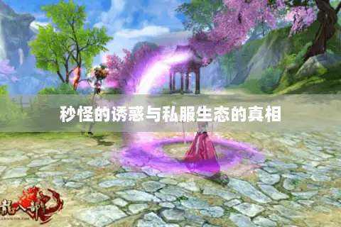 秒怪的诱惑与私服生态的真相