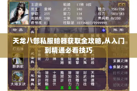 天龙八部私服暗器获取全攻略,从入门到精通必看技巧 天龙八部私服暗器获取全攻略,从入门到精通必看技巧