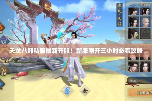 天龙八部私服最新开服!新服刚开三小时必看攻略 天龙八部私服最新开服!新服刚开三小时必看攻略