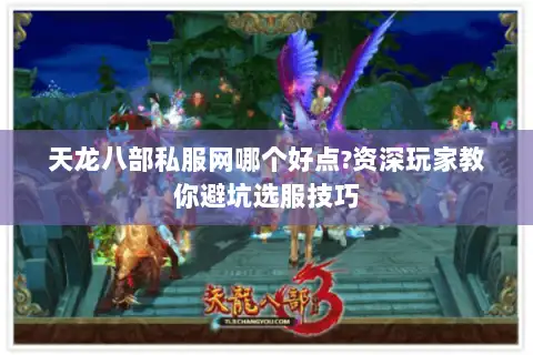天龙八部私服网哪个好点?资深玩家教你避坑选服技巧