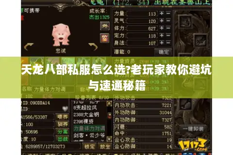 天龙八部私服怎么选?老玩家教你避坑与速通秘籍 天龙八部私服怎么选?老玩家教你避坑与速通秘籍