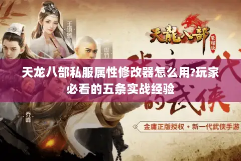 天龙八部私服属性修改器怎么用?玩家必看的五条实战经验