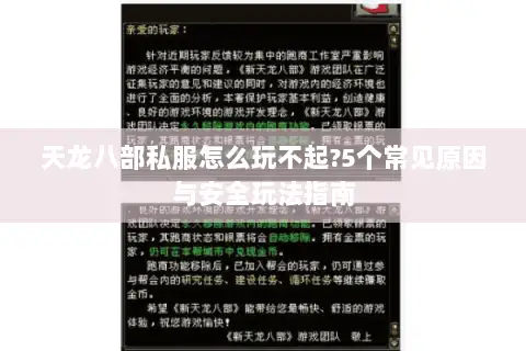 天龙八部私服怎么玩不起?5个常见原因与安全玩法指南 天龙八部私服怎么玩不起?5个常见原因与安全玩法指南