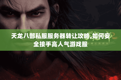 天龙八部私服服务器转让攻略,如何安全接手高人气游戏服