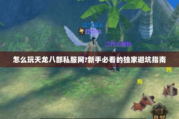怎么玩天龙八部私服网?新手必看的独家避坑指南 怎么玩天龙八部私服网?新手必看的独家避坑指南