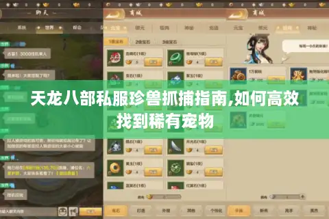 天龙八部私服珍兽抓捕指南,如何高效找到稀有宠物