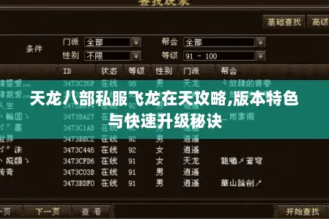 天龙八部私服飞龙在天攻略,版本特色与快速升级秘诀