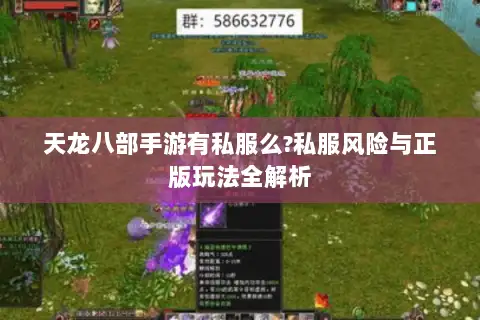 天龙八部手游有私服么?私服风险与正版玩法全解析 天龙八部手游有私服么?私服风险与正版玩法全解析