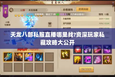 天龙八部私服直播哪里找?资深玩家私藏攻略大公开