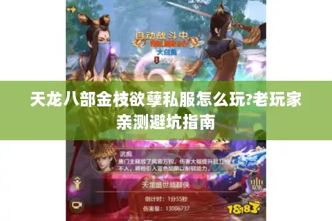 天龙八部金枝欲孽私服怎么玩?老玩家亲测避坑指南