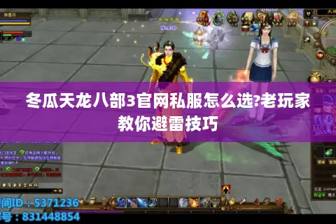 冬瓜天龙八部3官网私服怎么选?老玩家教你避雷技巧