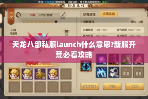天龙八部私服launch什么意思?新服开荒必看攻略 天龙八部私服launch什么意思?新服开荒必看攻略