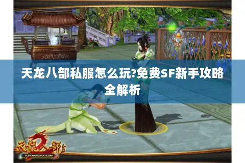 天龙八部私服怎么玩?免费SF新手攻略全解析 天龙八部私服怎么玩?免费SF新手攻略全解析